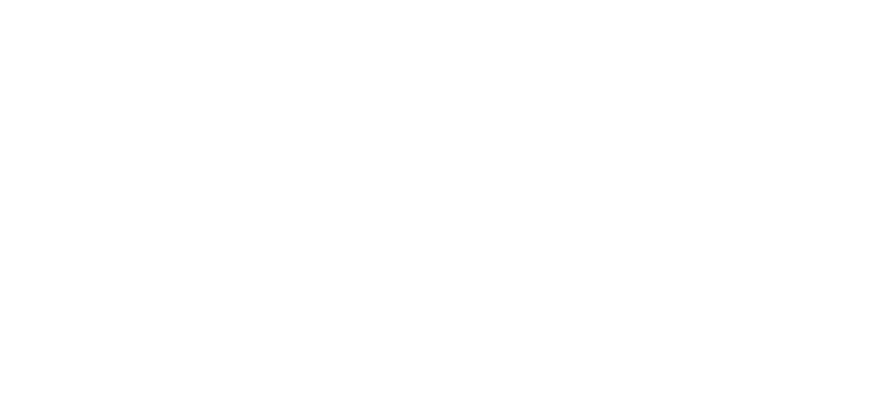 logo conseil entreprise blanc